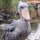 Nice_user_682417372430103684