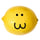 OnlyLemonLemLem
