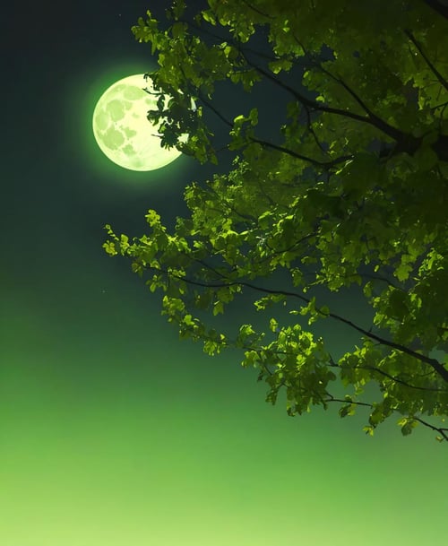 (Photo:1.3), highdetail, (green theme), ((glowing)), simple background, gradient, tree, no humans, night, moon, black background, nature, scenery, full moon, forest, <lora:Green-Nostalgia:1>, (masterpiece, best quality, detailed:1.3), (intricate details:1.3)