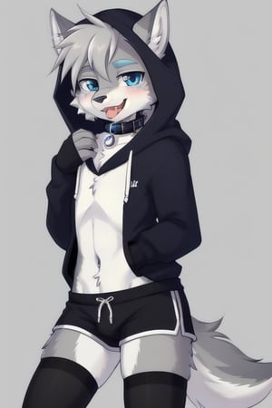 Raff is a grey wolf guy with blue eyes, femboy and is wearing thigh highs and arm sleeves with a hoodie and shorts on, incredibly horny, mouth wide open smiling with tongue out, he's wearing a collar around his neck, standing , looking cute 