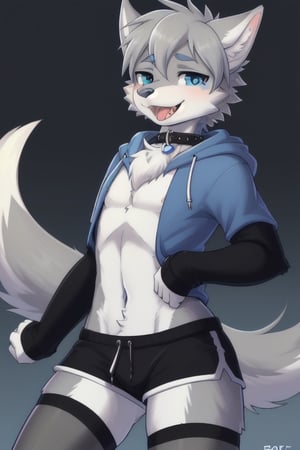 Raff is a grey wolf guy with blue eyes, femboy and is wearing thigh highs and arm sleeves with a hoodie and shorts on, incredibly horny, mouth wide open smiling with tongue out, he's wearing a collar around his neck, standing , looking sexy