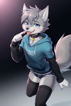 Raff is a grey wolf guy with blue eyes, femboy and is wearing thigh highs and arm sleeves with a hoodie and shorts on, incredibly horny, mouth wide open smiling with tongue out, he's wearing a collar around his neck, standing , holding a lollipop in one hand 