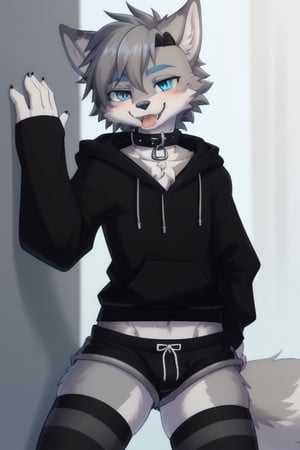 Raff is a grey wolf guy with blue eyes, femboy and is wearing thigh highs and arm sleeves with a black hoodie and shorts on, incredibly horny, mouth wide open smiling with tongue out, he's wearing a collar around his neck, standing , looking sexy, make him look gay
