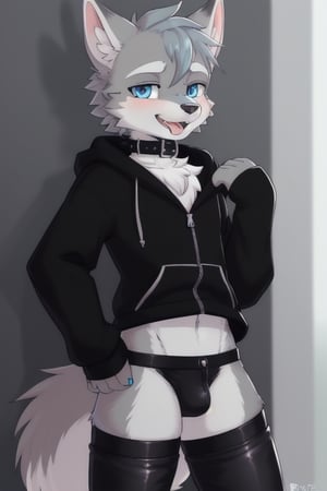 Raff is a grey wolf guy with blue eyes, femboy and is wearing thigh highs and arm sleeves with a black hoodie and trousers on, incredibly horny, mouth wide open smiling with tongue out, he's wearing a collar around his neck, standing , looking sexy, make him look breedable 