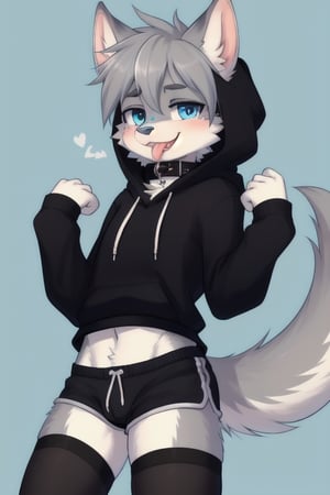 Raff is a grey wolf guy with blue eyes, femboy and is wearing thigh highs and arm sleeves with a hoodie on and shorts, incredibly horny, mouth wide open smiling with tongue out, he's wearing a collar around his neck, standing 