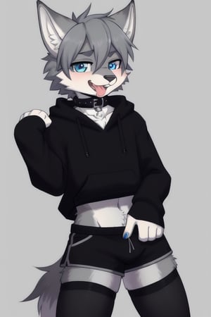 Raff is a grey wolf guy with blue eyes, femboy and is wearing thigh highs and arm sleeves with a black hoodie and shorts on, incredibly horny, mouth wide open smiling with tongue out, he's wearing a collar around his neck, standing , looking sexy, make him look gay