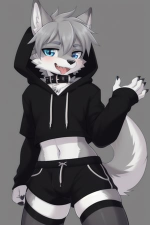 Raff is a grey wolf guy with blue eyes, femboy and is wearing thigh highs and arm sleeves with a black hoodie and shorts on, incredibly horny, mouth wide open smiling with tongue out, he's wearing a collar around his neck, standing , looking sexy