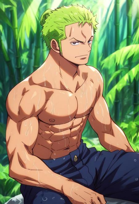 Zoro by animegeek79477