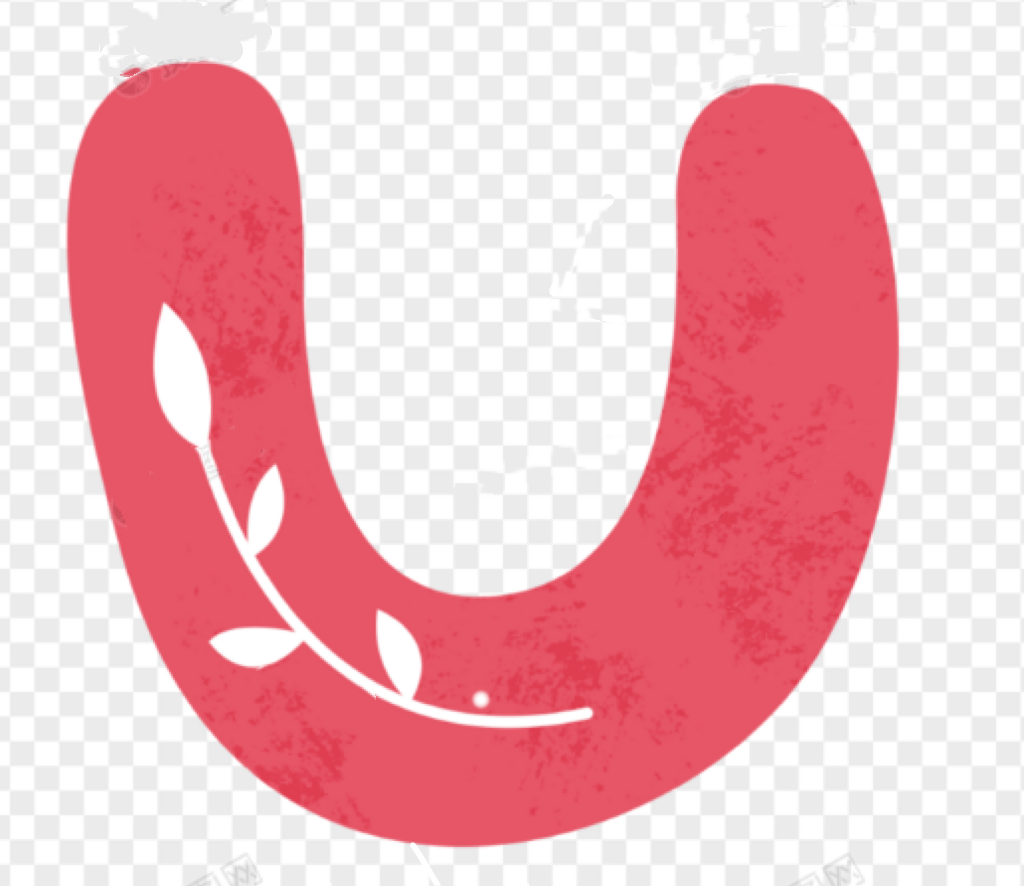 PONY_VULVA_WIKICOMMONS