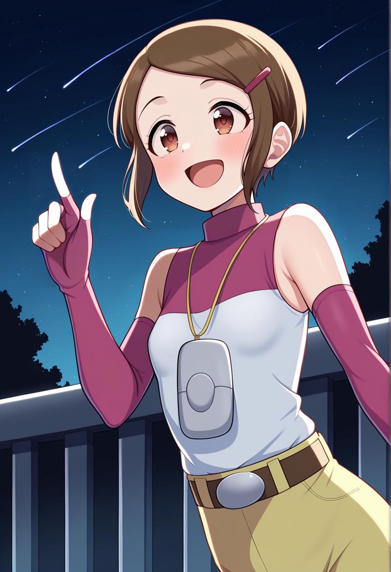 Kari Kamiya / Hikari Yagami (Digimon Adventure 02)