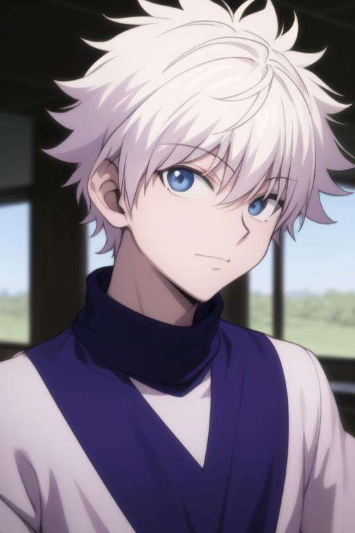 Killua Zoldyck, Professional Profile