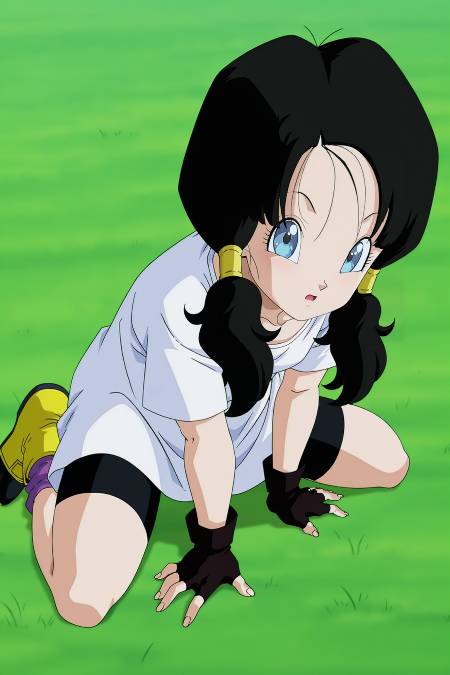 Videl - Dragon Ball